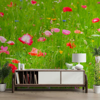 High-resolution image of a poppy field.

