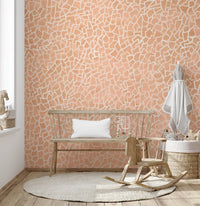 Soft Blush Abstract Geometric Wallpaper
