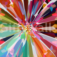 Prismatic Burst mural wallpaper with artistic expression

