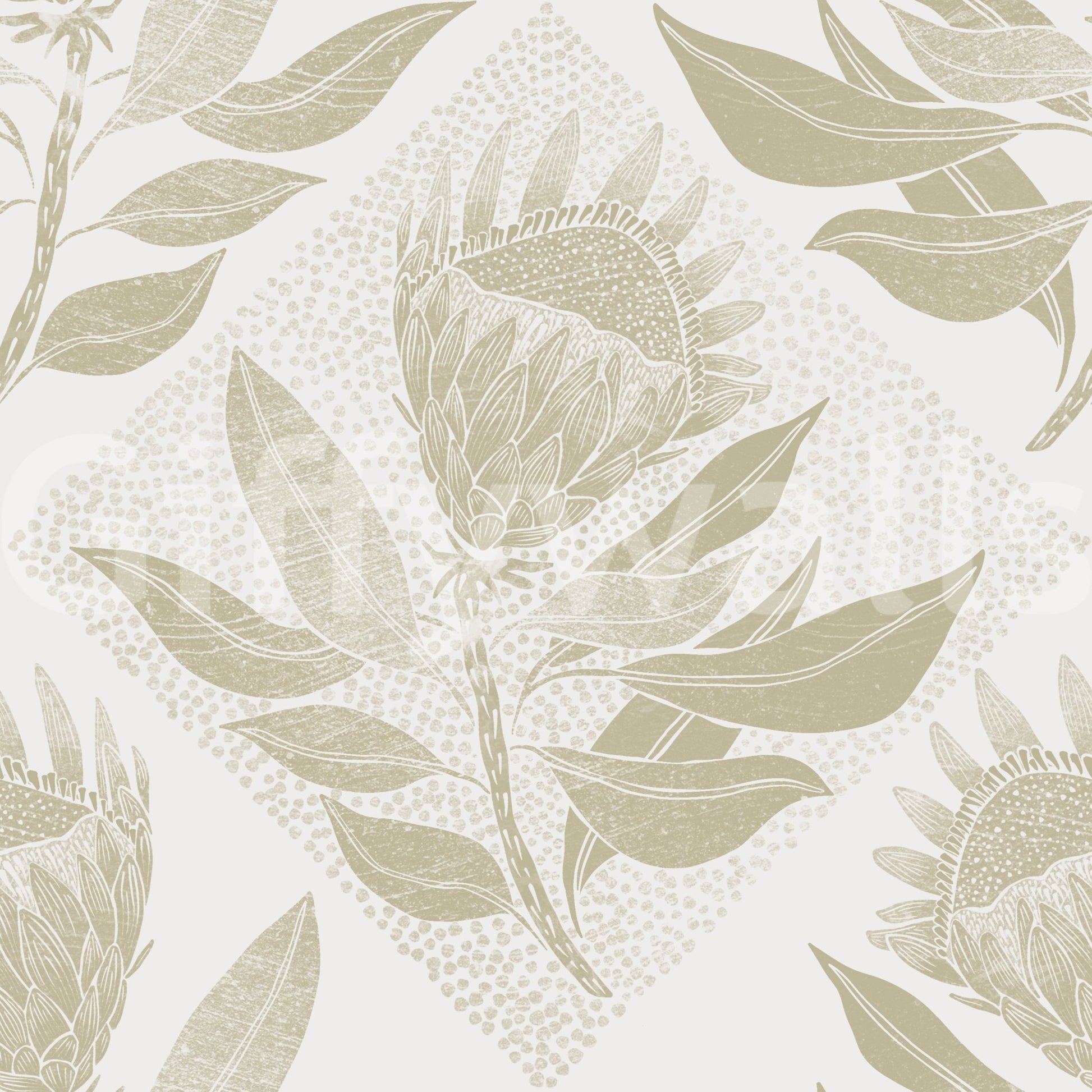 Stylish protea flower wall mural
