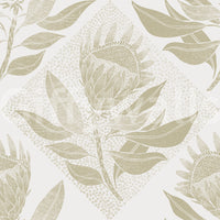 Stylish protea flower wall mural

