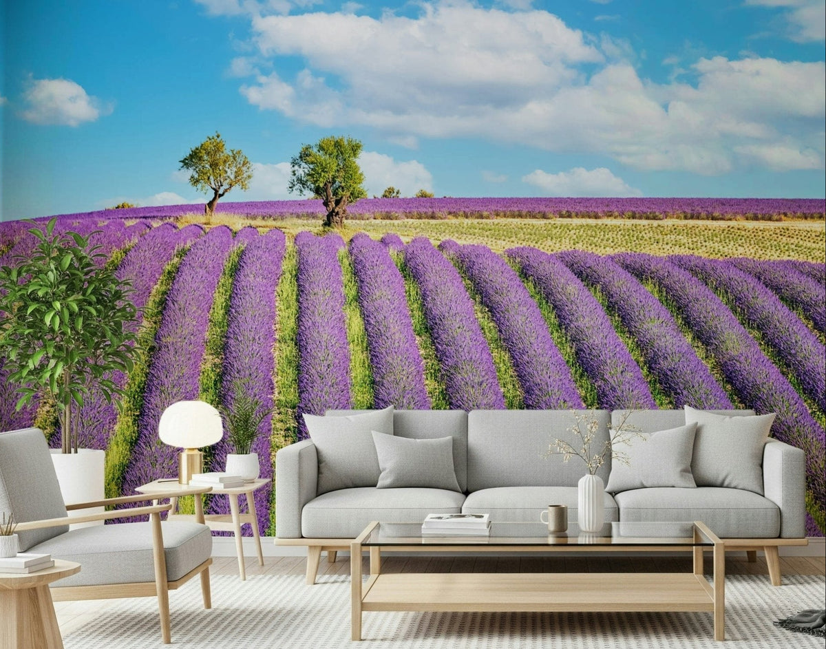 Provence Dreams Wall Mural brightens a living room with lavender rows and blue sky, GD7944