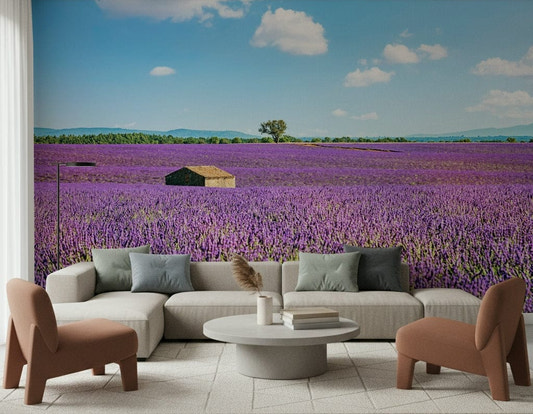 Living room with Provence Landscape Wall Mural across a wide feature wall