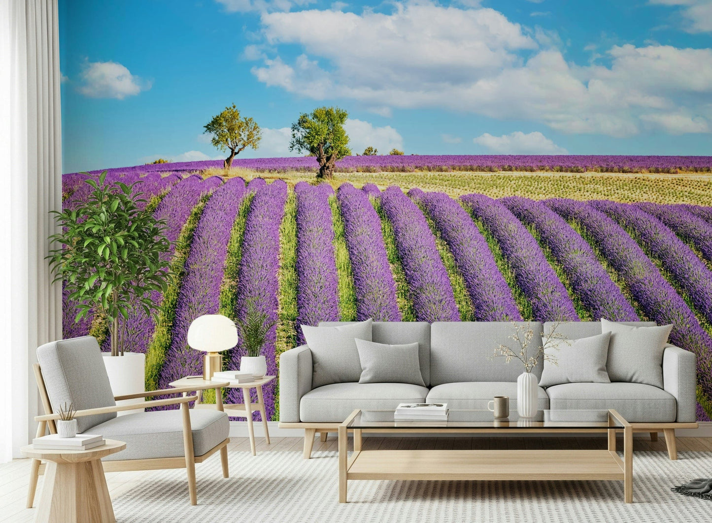 Provence Dreams Wall Mural