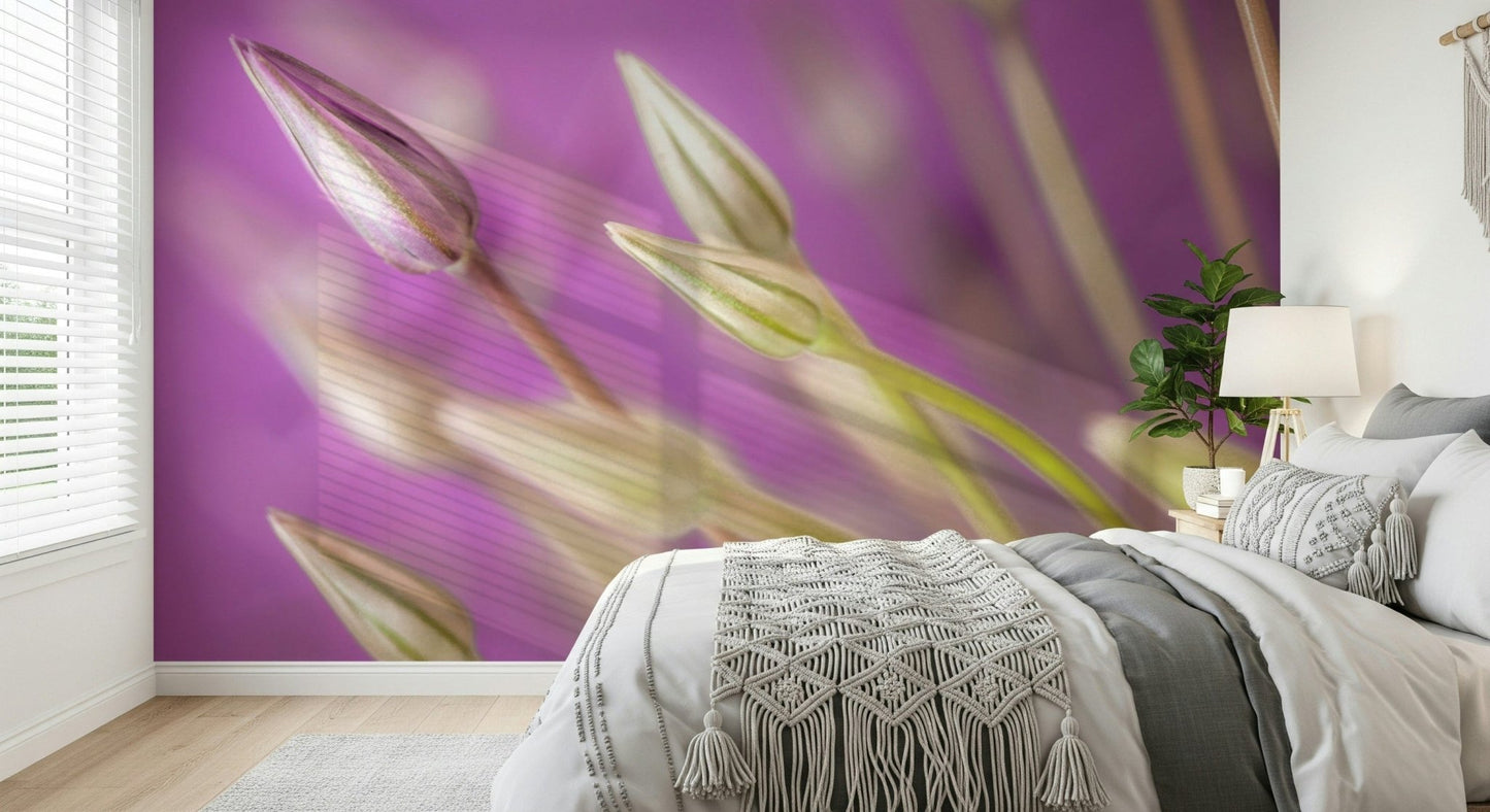 Delicate blooming Purple Alliums wall mural, soft lavender background art.