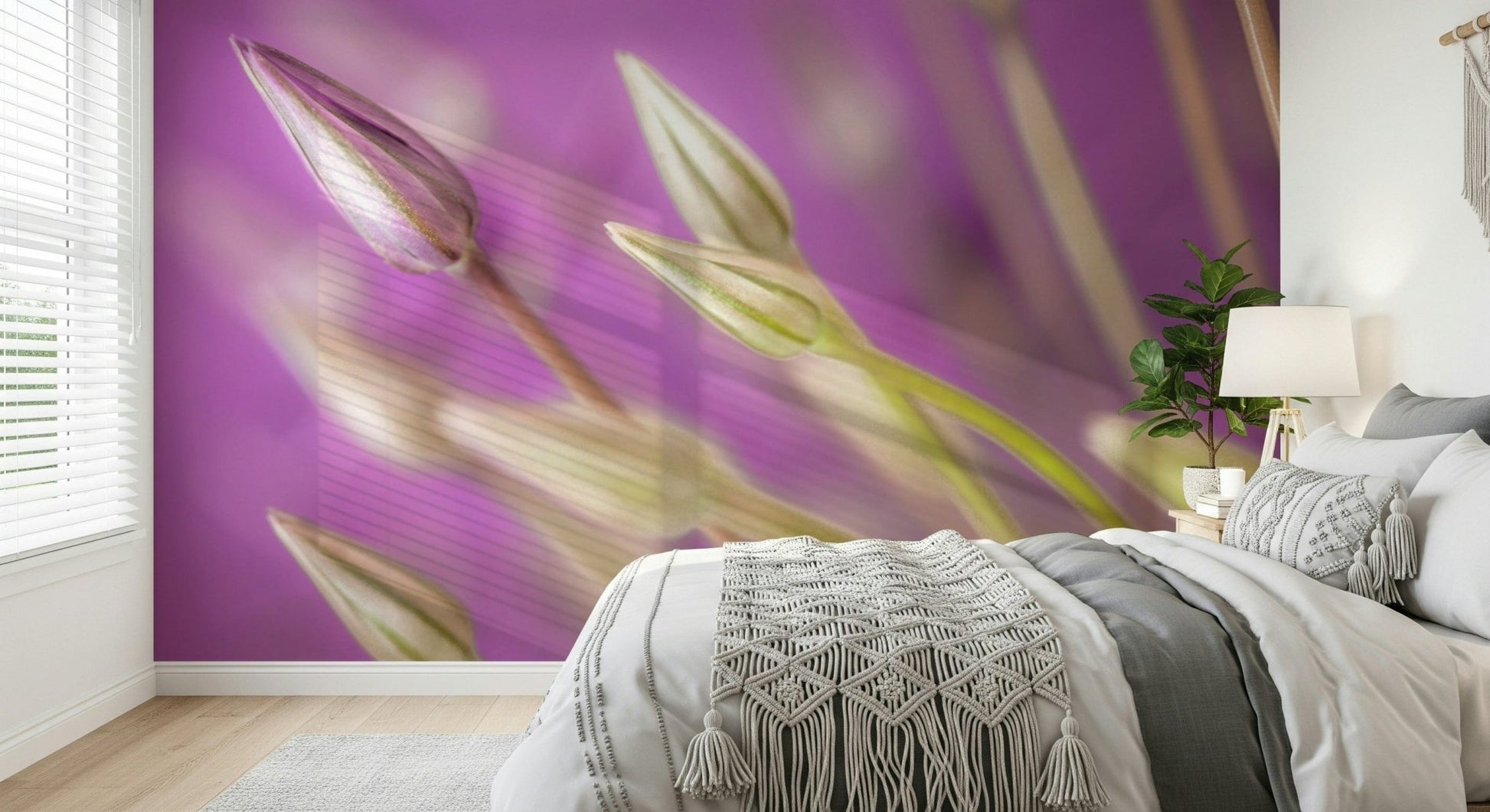 Delicate blooming Purple Alliums wall mural, soft lavender background art.