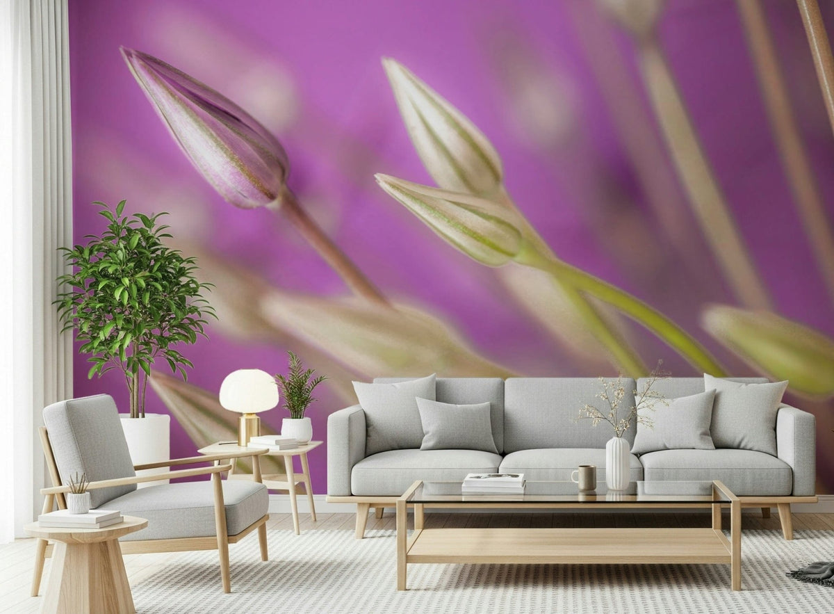 Macro photograph of Purple Alliums flower buds, stunning wallpaper mural., GD6701