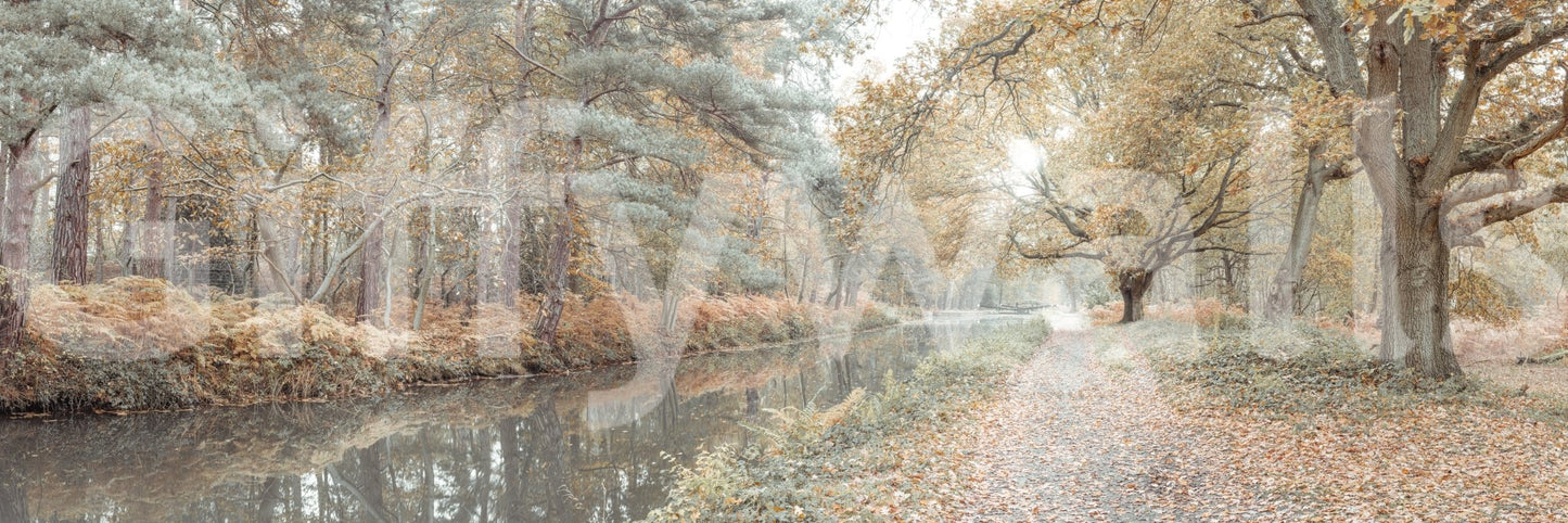 Reflective surface Quiet Waters Wall Mural scenic print.