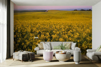 There's a strong sense of cheerfulness, natural charm, and invigorating energy.
