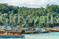 Rawai wall mural with longtail boats, blue water, and lush tropical palm shoreline, GD7978