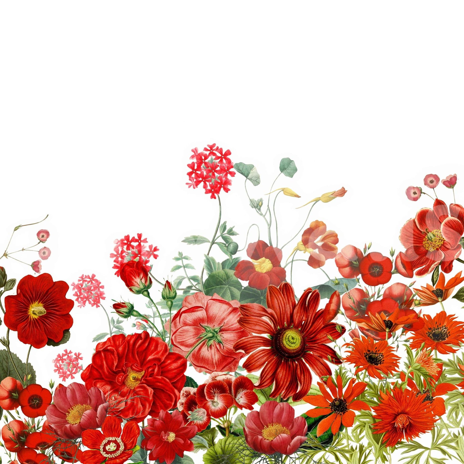 The image feels peaceful and restful.

