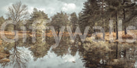 Stillness and nature print
