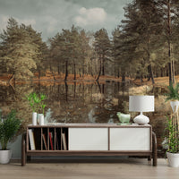 Meditative landscape mural
