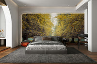 Autumn tree-lined road
