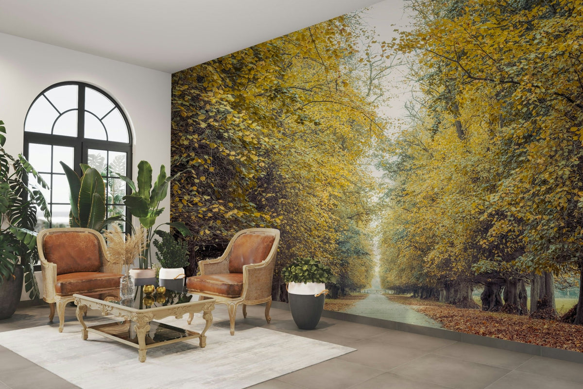 Picture of Road through Fall Forest Wall Mural GD3149
