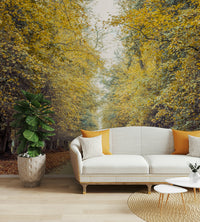 Country road in fall print
