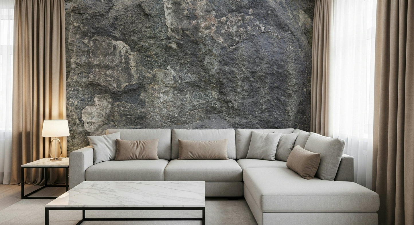 Rocky surface wallpaper mural behind a rustic sofa.