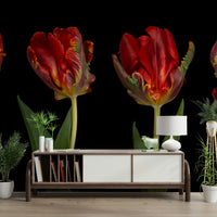 The flowers are a deep red with yellow and green accents.

