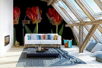 The overall mood is sophisticated and artistic.

