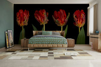 The colors are rich and vibrant against the dark background.

