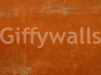 Rustic Roman Sall wallpaper, simple elegant wall design