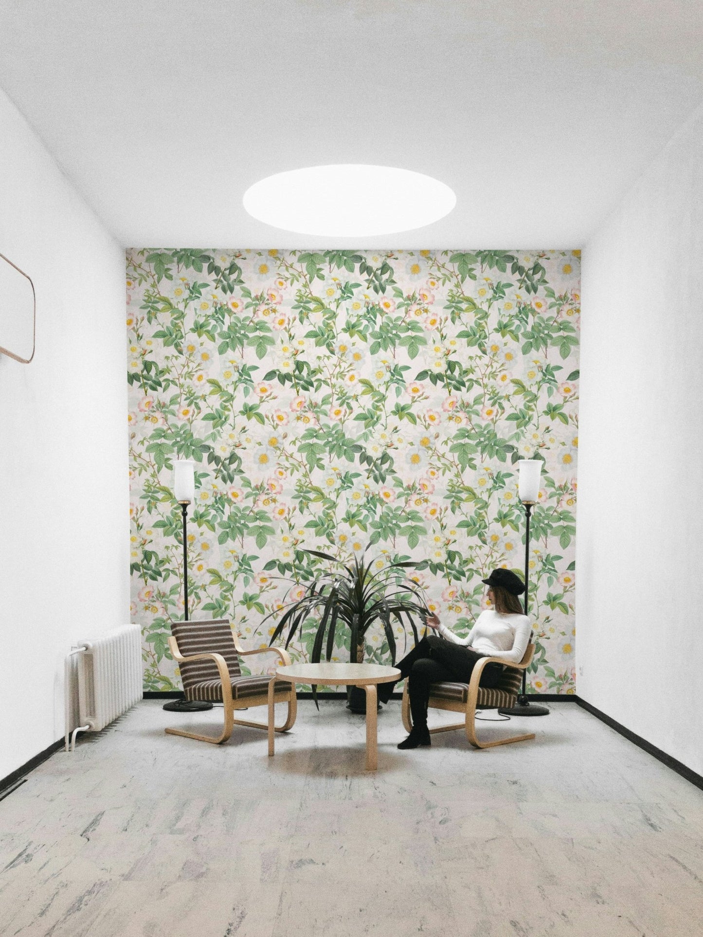 Soft pastel roses creating a serene atmosphere with wallpaper., GD1335