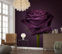 Elegant damask pattern wallpaper for a formal dining room wall mural.