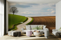 A beautiful rural landscape wallpaper mural with a winding path.

