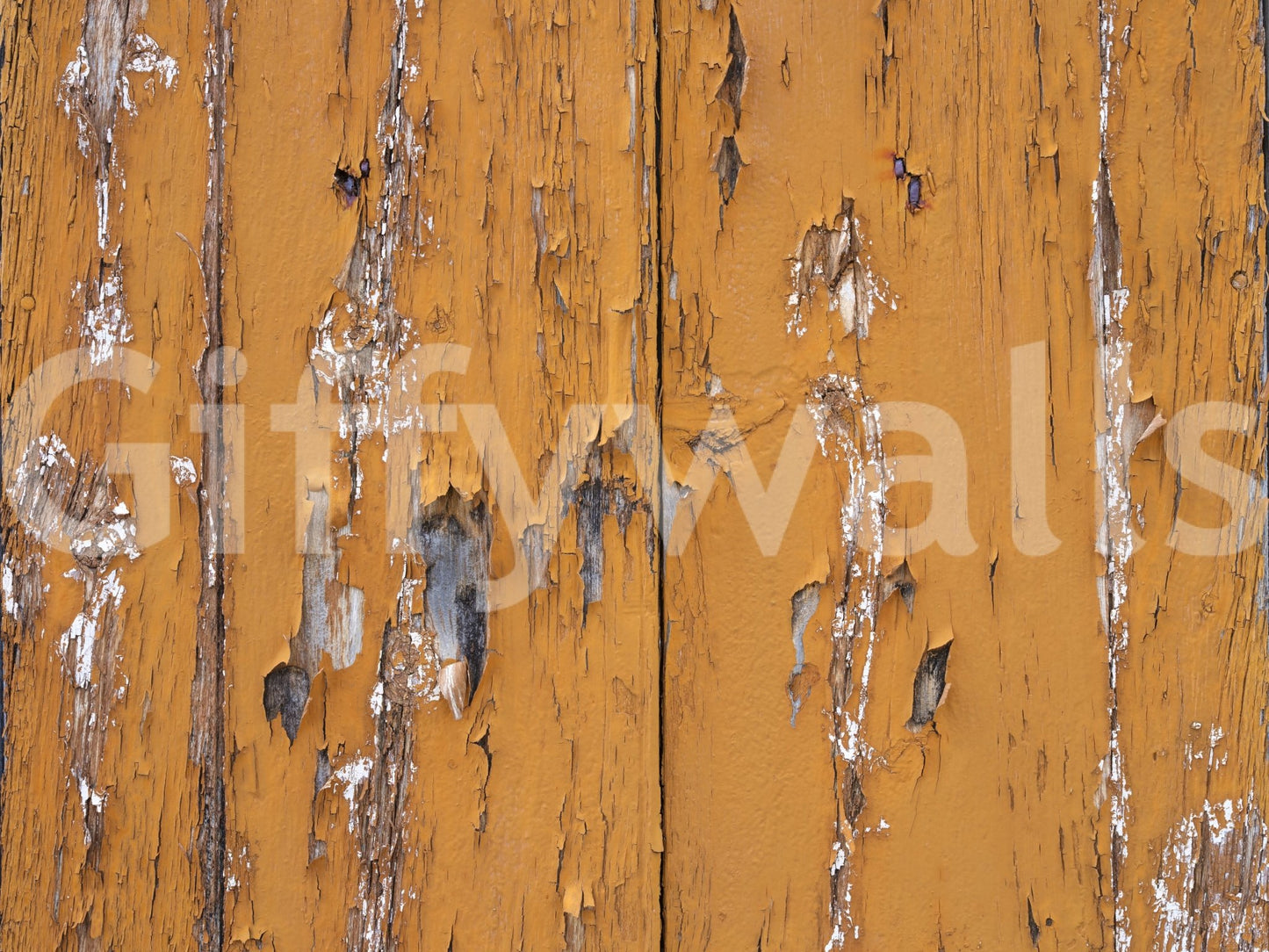 Rustic Orange Texture Wall Mural