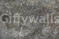 Textured brown and grey stone wallpaper detail.