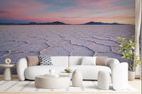 sofa space with Salt Flats Serenity Wall Mural and soft neutral tones