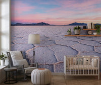 Nursery room with Salt Flats Serenity Wall Mural and woven seating