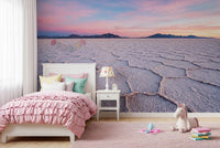 Salt Flats Serenity Wall Mural above a pink bed in a playful Girl bedroom