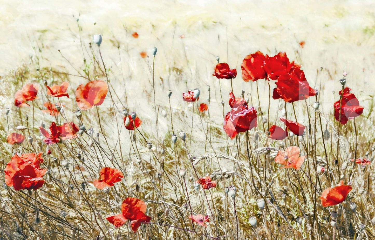 A high-quality serene flower wall mural for walls., GD5793