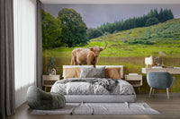 Nature mural with Scottish landscape

