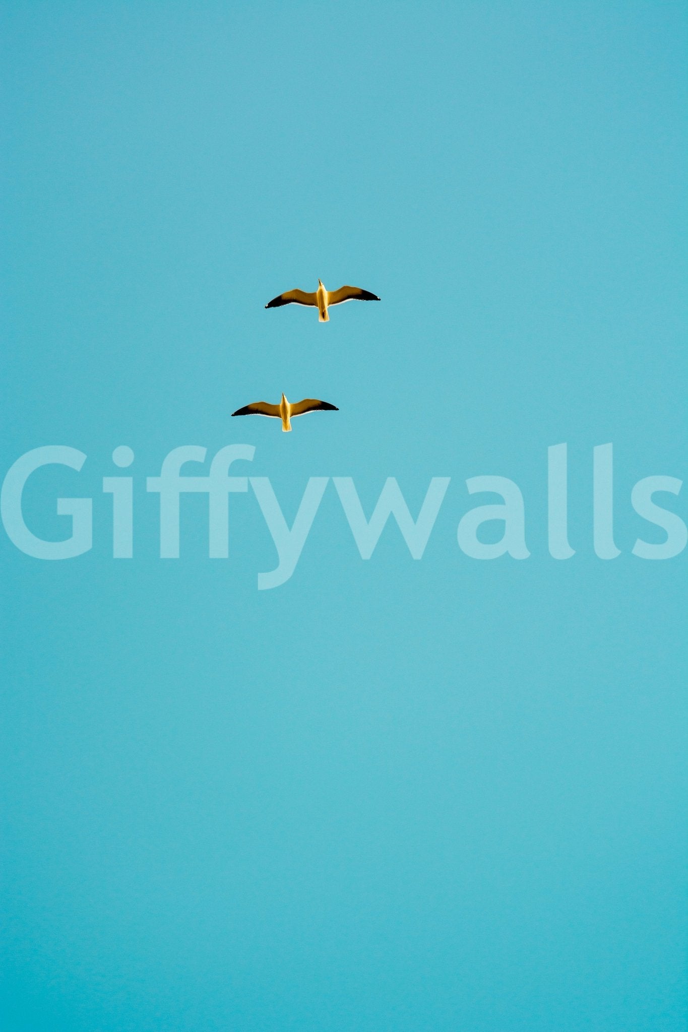 A calming ocean wave wallpaper mural that defines a space., GD4748