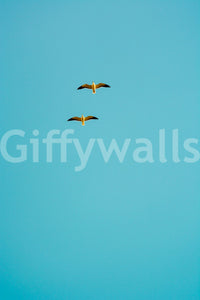 A calming ocean wave wallpaper mural that defines a space., GD4748