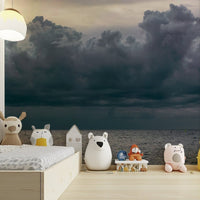 Somber gray sky presses down on the open sea, a moody wall mural GD4784
