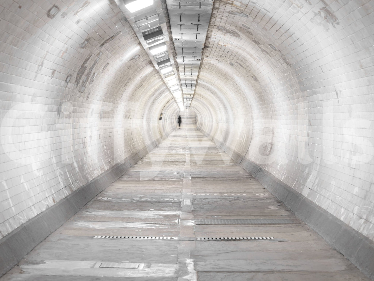 Tunnel interior mural with Secret Passages perspective detail
