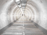 Tunnel interior mural with Secret Passages perspective detail