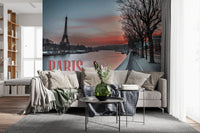 Paris skyline wall mural with Seine view and Eiffel Tower silhouette