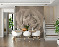 Sepia Rose exhibiting soft shadows for a dramatic wallpaper effect.