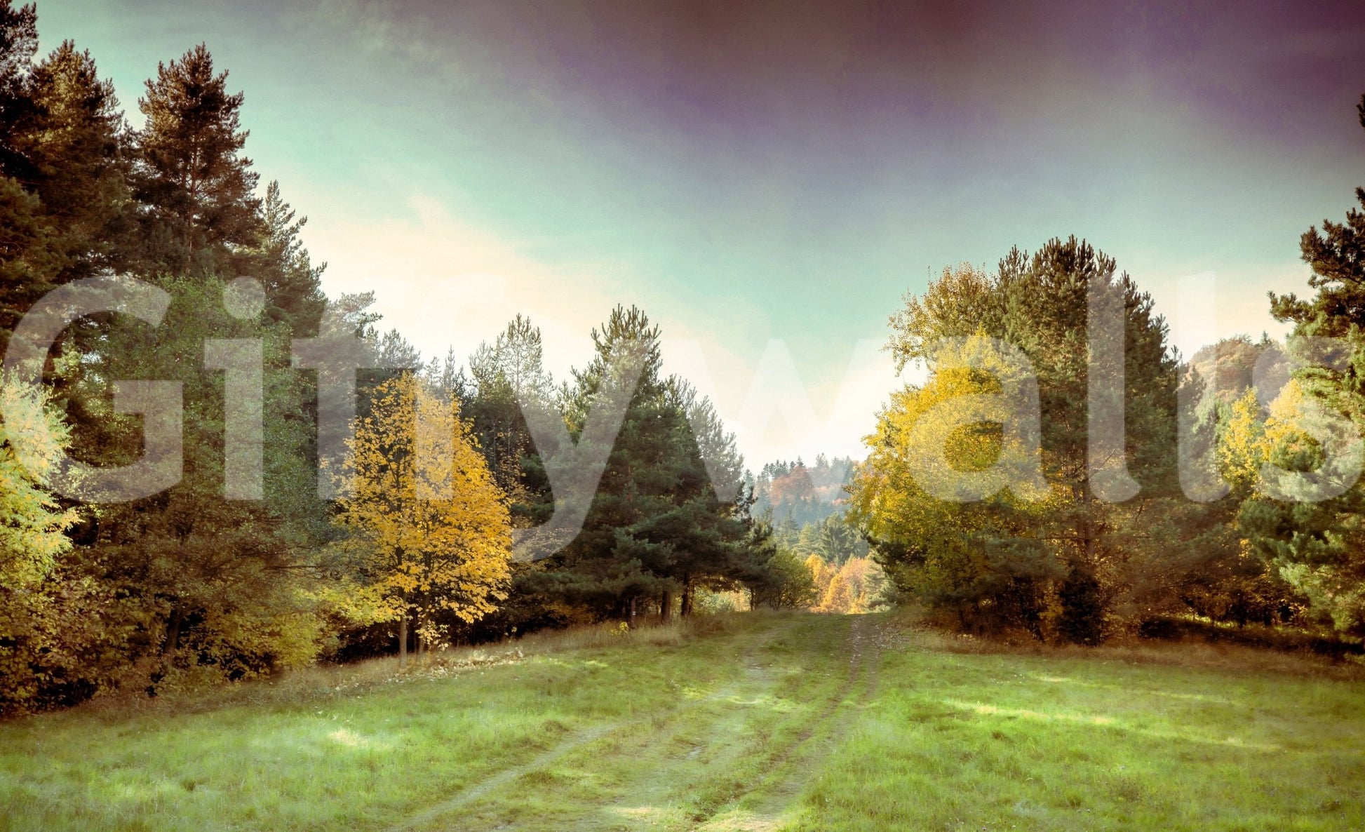 Provides a graceful and artistic backdrop.
