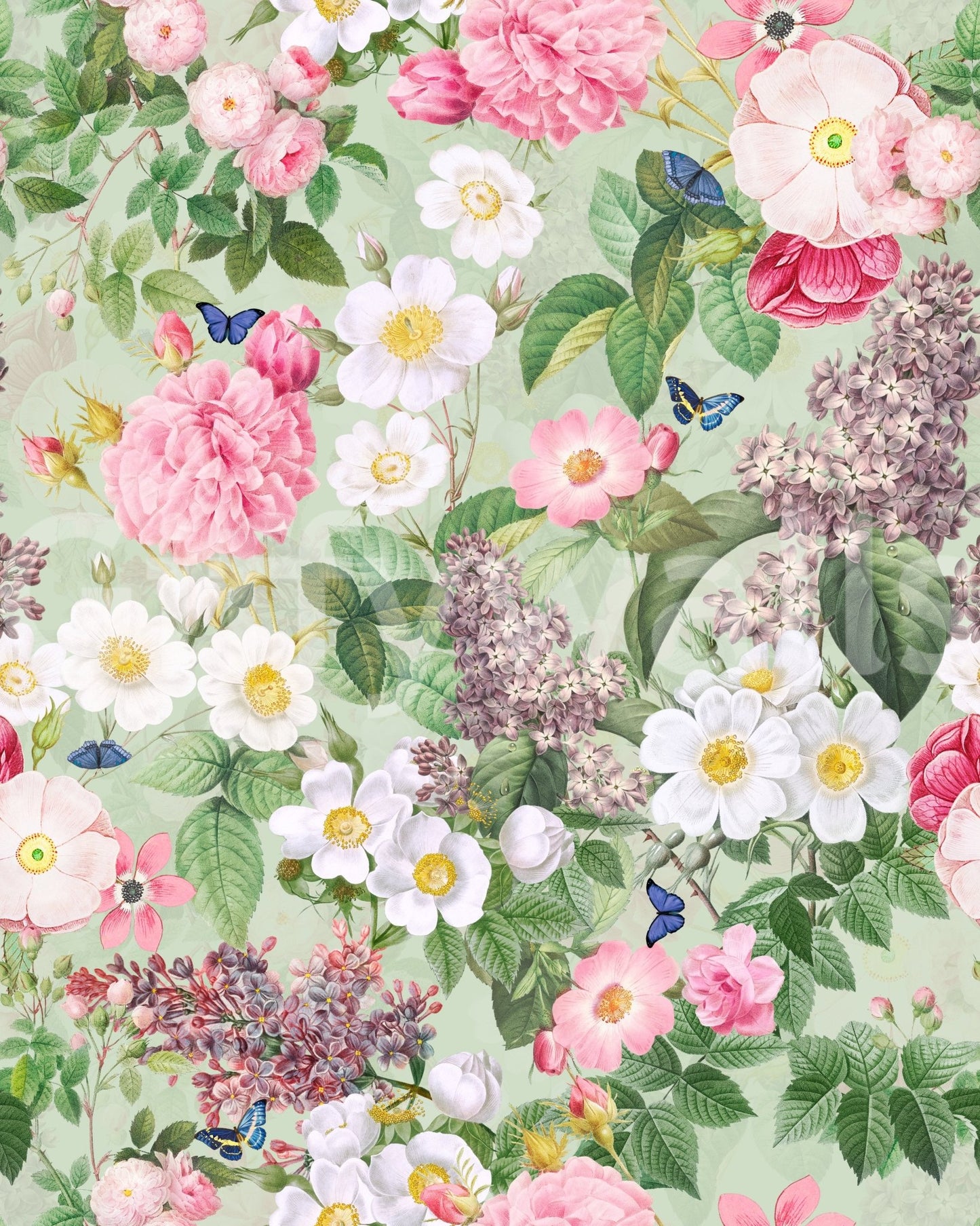 Serene Botanical Garden Wallpaper⁠