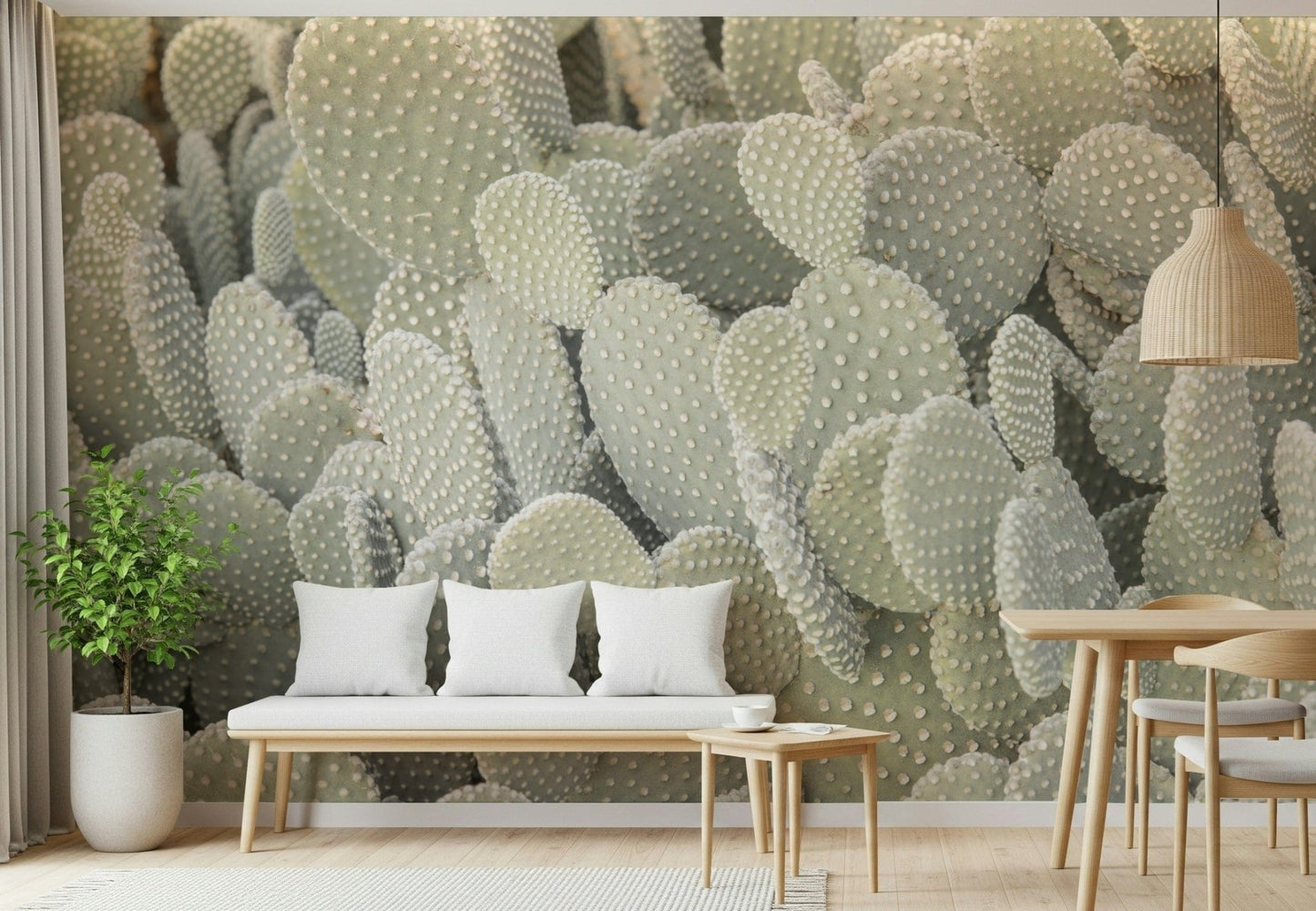 Succulent garden wallpaper mural for a calm study room environment.