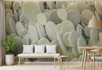 Succulent garden wallpaper mural for a calm study room environment.
