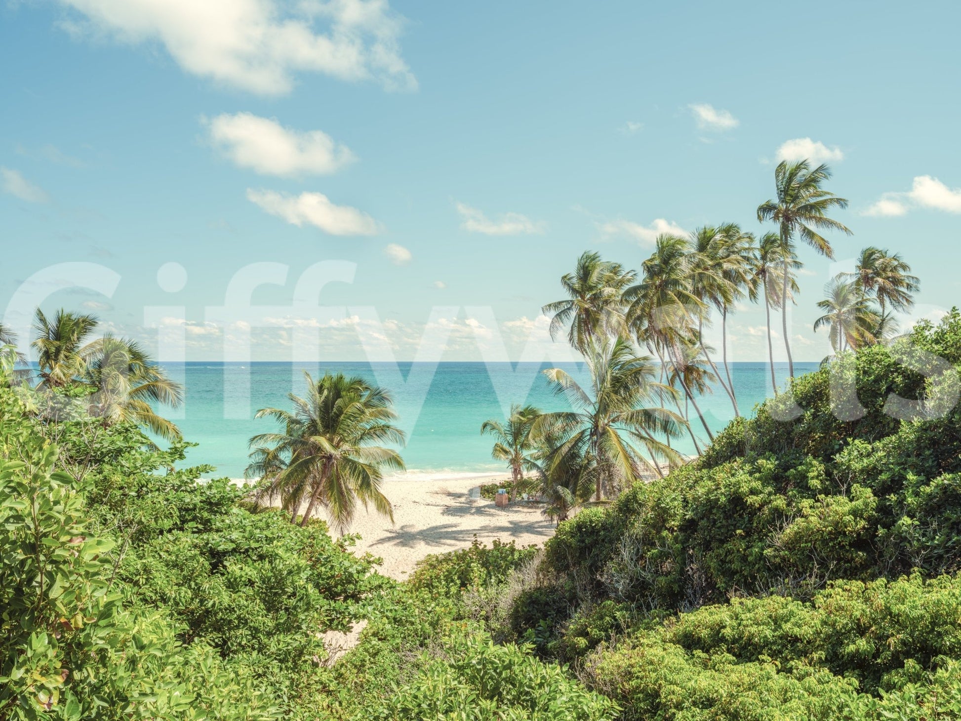 Serene Coastal Paradise Wall Mural with palms, sandy shore and turquoise sea view