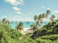Serene Coastal Paradise Wall Mural with palms, sandy shore and turquoise sea view