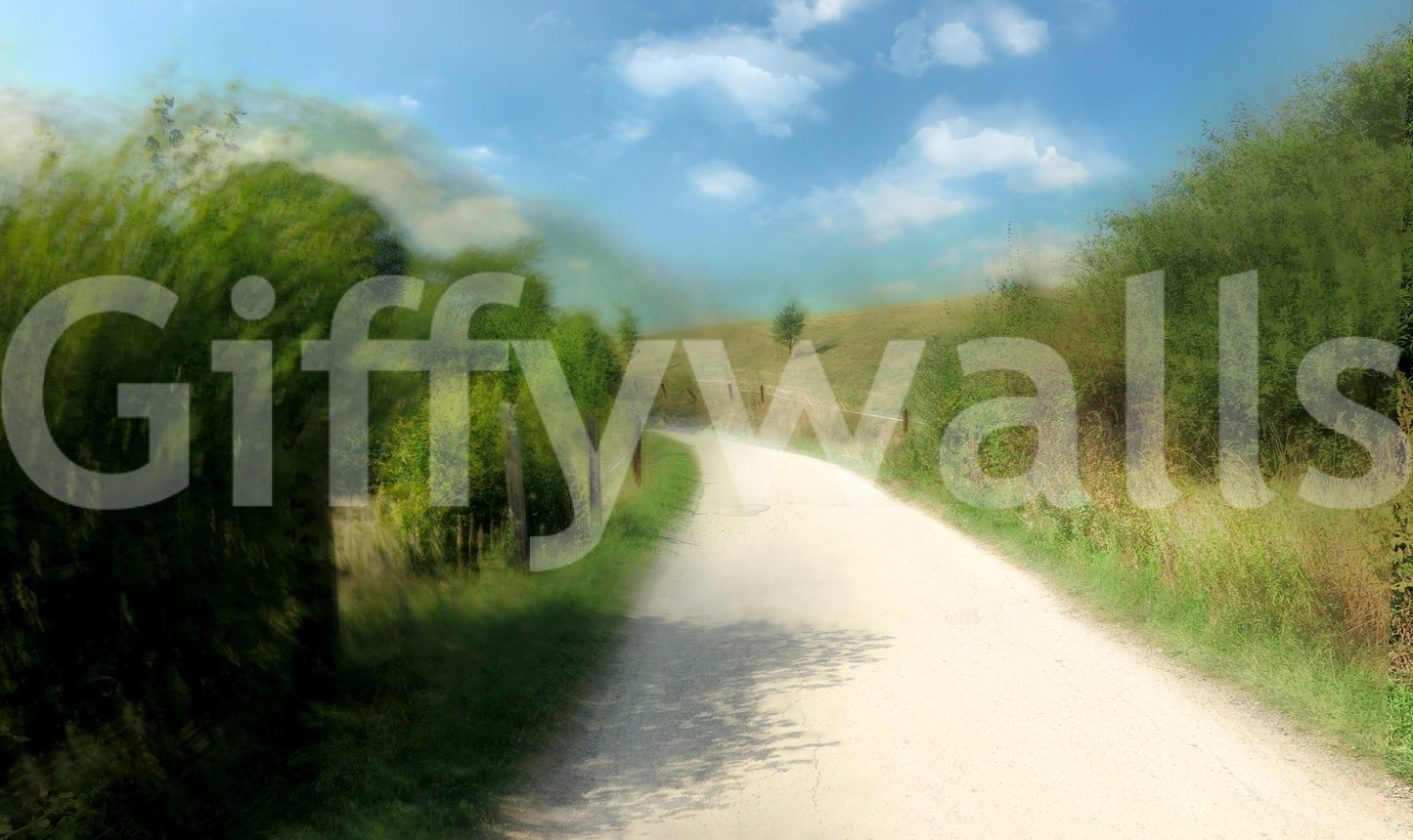 Serene Country Pathway Art Print | Tranquil Landscape Photography Wall Mural