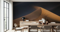 A calming serene view wallpaper mural that defines a space.